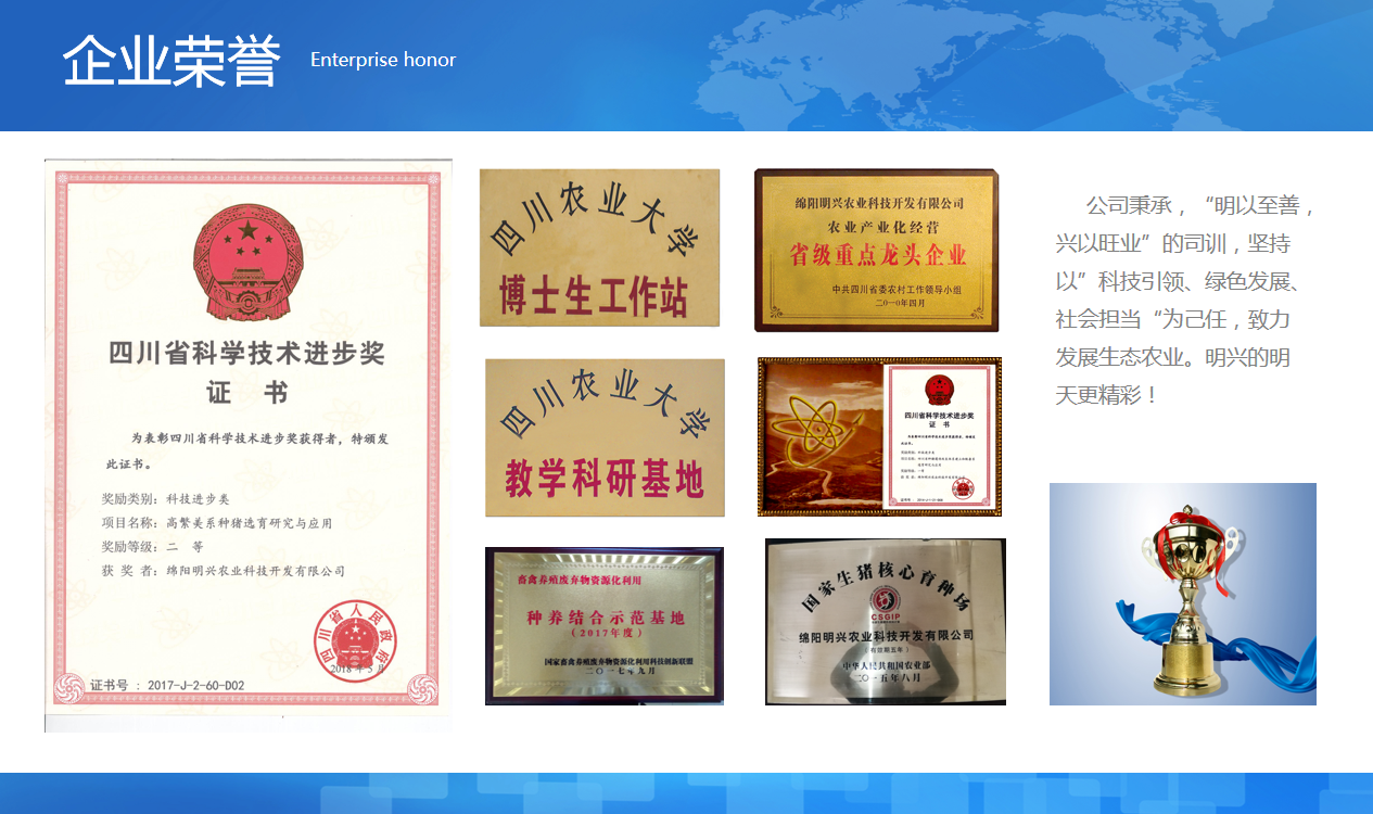 企業(yè)榮譽(yù)